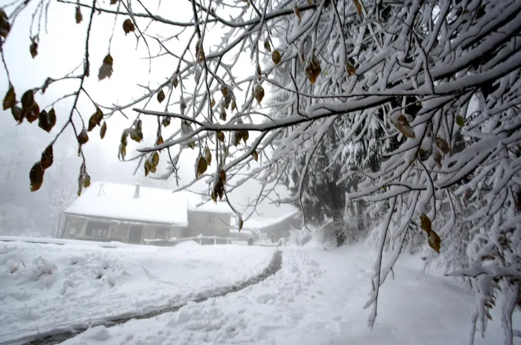 POGLEDAJTE KAKO IZGLEDA SLJEME POD DEBELIM SNJEŽNIM POKRIVAČEM: Jutros je izmjereno 18 cm
