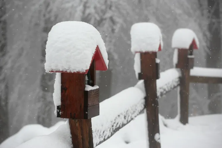 POGLEDAJTE KAKO IZGLEDA SLJEME POD DEBELIM SNJEŽNIM POKRIVAČEM: Jutros je izmjereno 18 cm