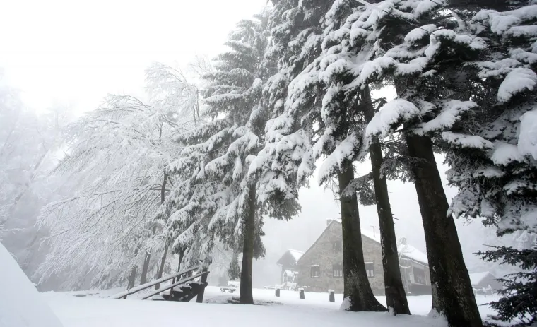 POGLEDAJTE KAKO IZGLEDA SLJEME POD DEBELIM SNJEŽNIM POKRIVAČEM: Jutros je izmjereno 18 cm
