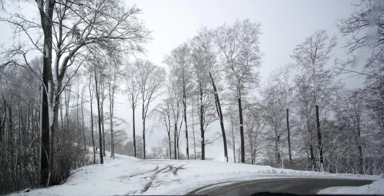 POGLEDAJTE KAKO IZGLEDA SLJEME POD DEBELIM SNJEŽNIM POKRIVAČEM: Jutros je izmjereno 18 cm