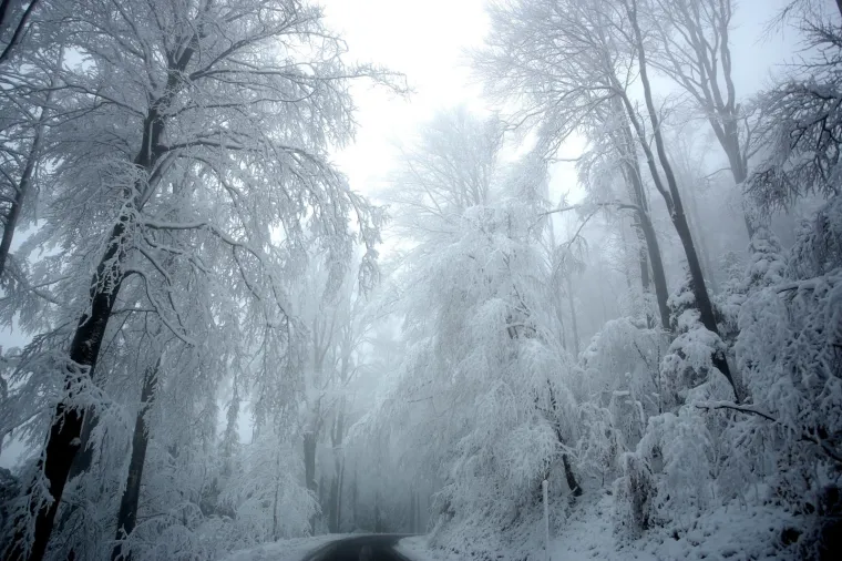 POGLEDAJTE KAKO IZGLEDA SLJEME POD DEBELIM SNJEŽNIM POKRIVAČEM: Jutros je izmjereno 18 cm