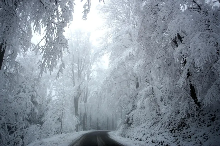 POGLEDAJTE KAKO IZGLEDA SLJEME POD DEBELIM SNJEŽNIM POKRIVAČEM: Jutros je izmjereno 18 cm