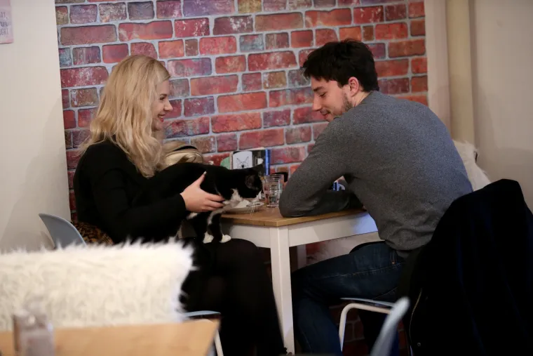 U zagrebačkom Cat caffeu posjetitelji mogu popiti kavu u dru&scaron;tvu mačaka udomljenih s ulice