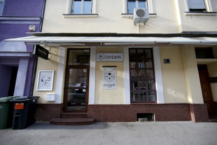 U zagrebačkom Cat caffeu posjetitelji mogu popiti kavu u dru&scaron;tvu mačaka udomljenih s ulice