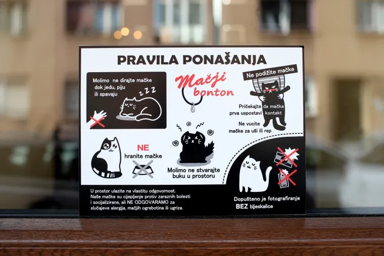 U zagrebačkom Cat caffeu posjetitelji mogu popiti kavu u dru&scaron;tvu mačaka udomljenih s ulice