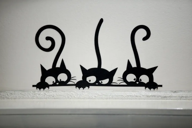 U zagrebačkom Cat caffeu posjetitelji mogu popiti kavu u dru&scaron;tvu mačaka udomljenih s ulice