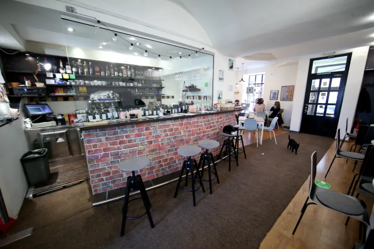 U zagrebačkom Cat caffeu posjetitelji mogu popiti kavu u dru&scaron;tvu mačaka udomljenih s ulice