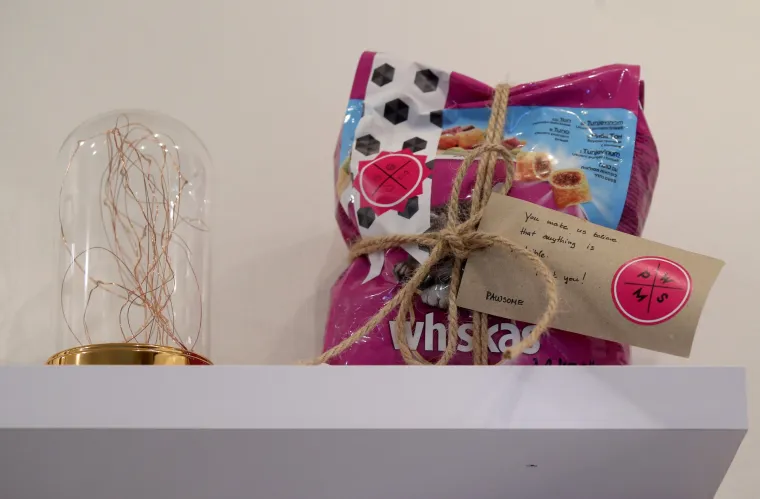 U zagrebačkom Cat caffeu posjetitelji mogu popiti kavu u dru&scaron;tvu mačaka udomljenih s ulice