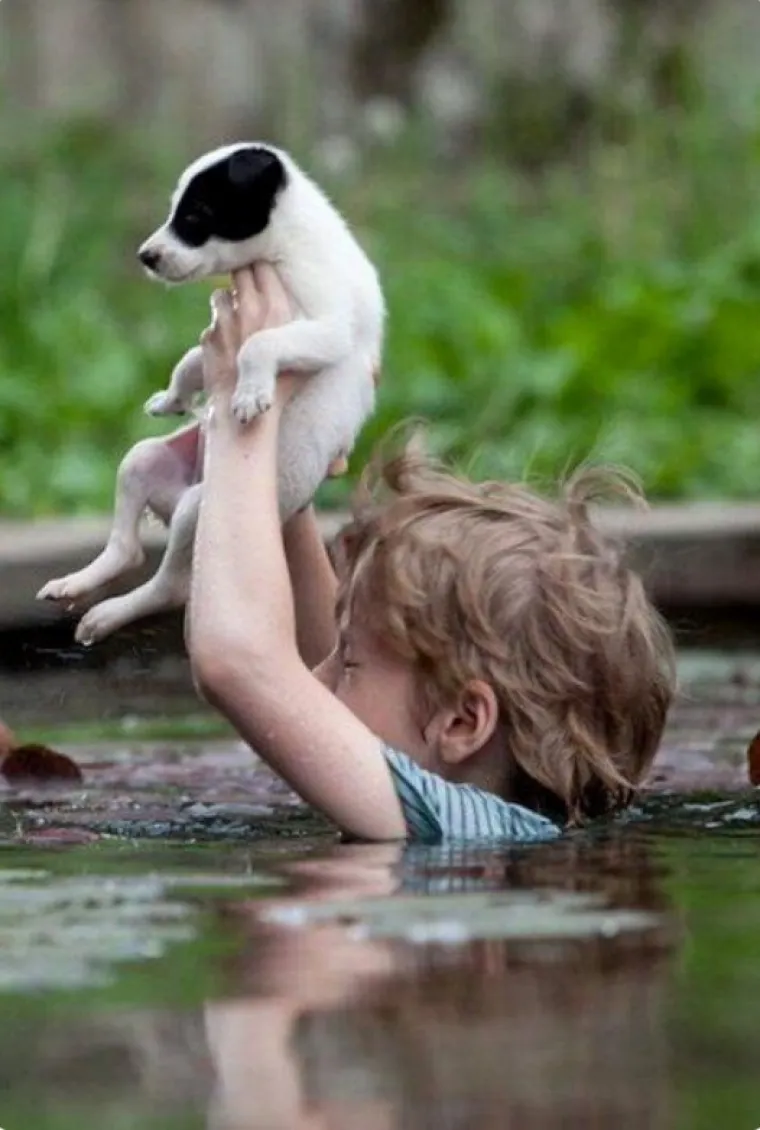 Dječak iz Srbije nosio je svog psića iznad glave za vrijeme poplave.