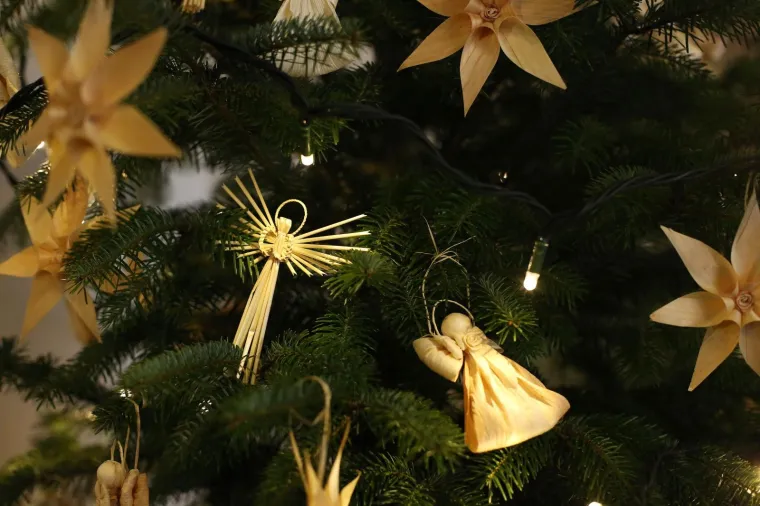 PREDSJEDNIČINA VILA OTVARA SVOJA VRATA GRAĐANIMA: Pogledajte kako izgleda unutra&scaron;njost Vile Prekrižje