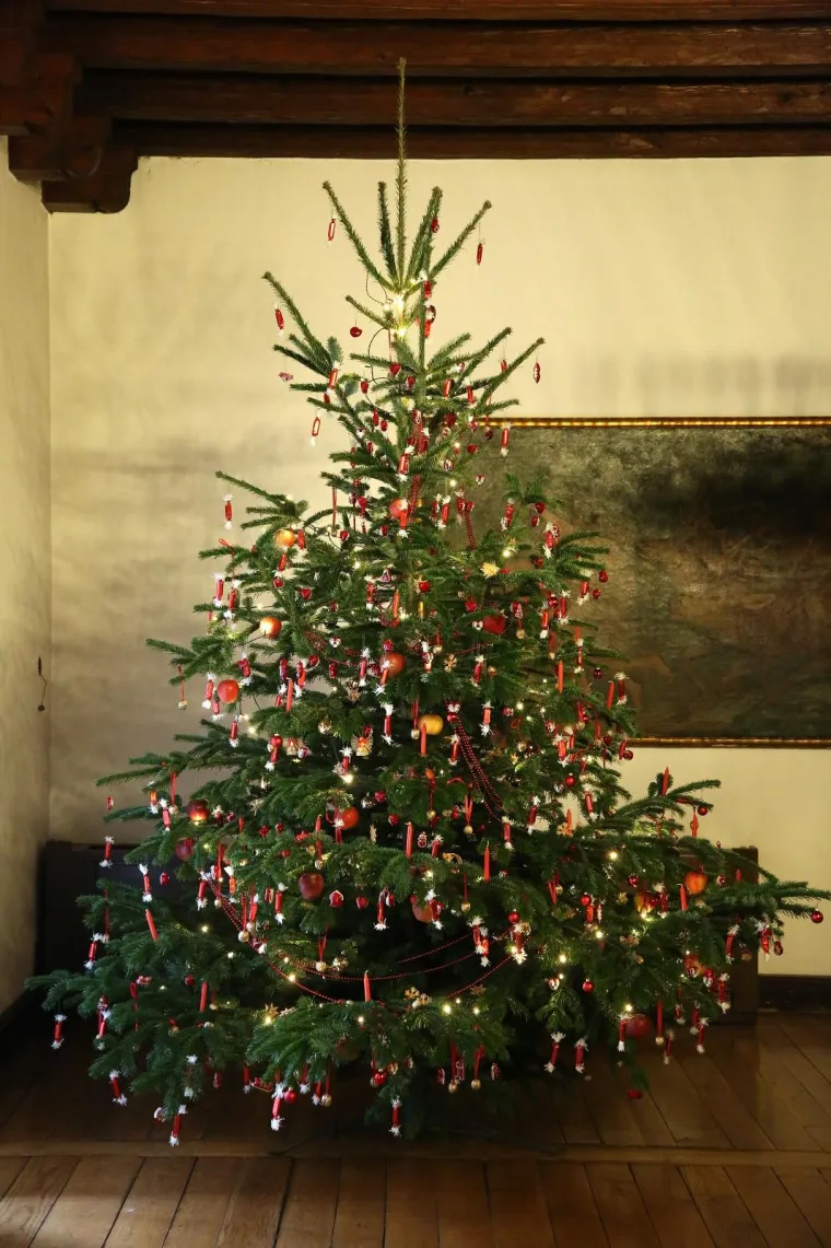 PREDSJEDNIČINA VILA OTVARA SVOJA VRATA GRAĐANIMA: Pogledajte kako izgleda unutra&scaron;njost Vile Prekrižje