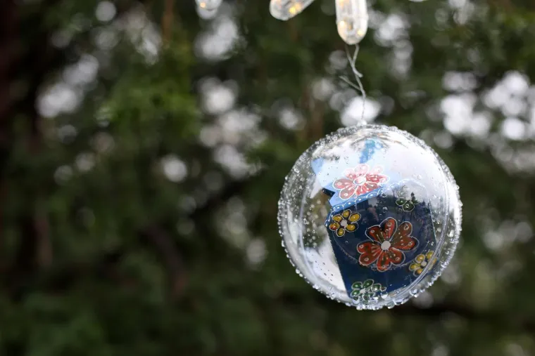 PREDSJEDNIČINA VILA OTVARA SVOJA VRATA GRAĐANIMA: Pogledajte kako izgleda unutra&scaron;njost Vile Prekrižje