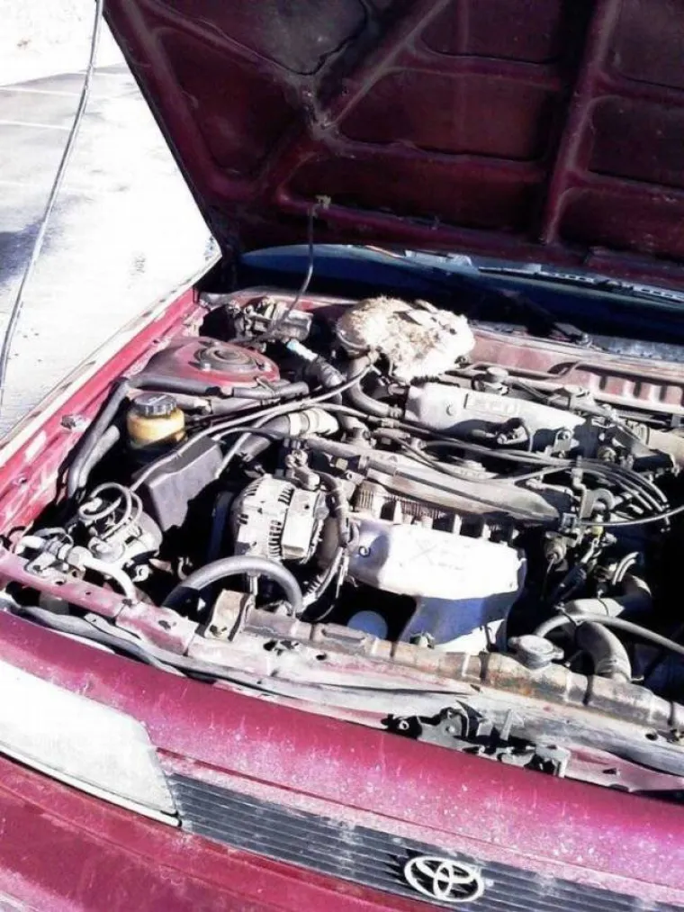 VIDITE NE&Scaron;TO NEOBIČNO NA OVOJ SLICI? Tu i tamo pogledajte ispod haube jer se tamo kriju razna čuda