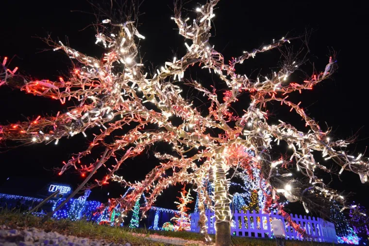 Božićna priča Salajevih zabljesnula je s rekordnih vi&scaron;e od 2,5 milijuna lampica. Posjetitelji će u rasko&scaron;nom božicnom ugođaju moći uživati do 15. siječnja 2018.