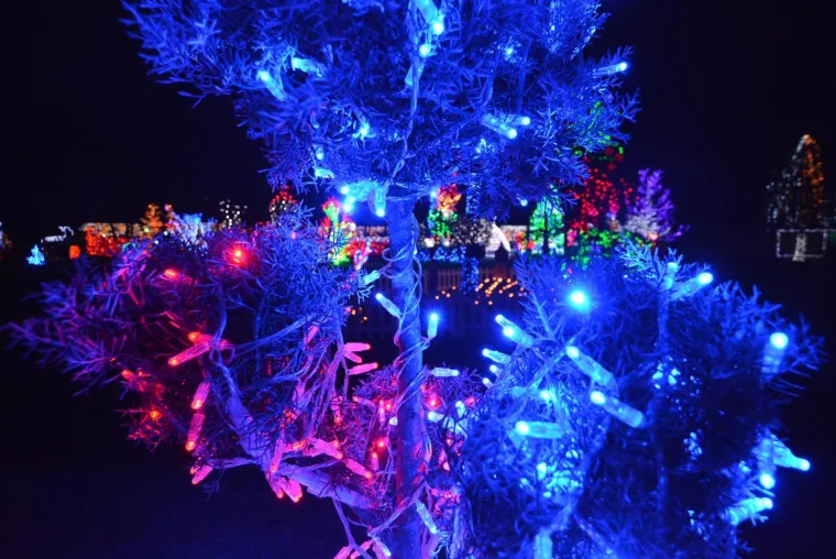 NAJSJAJNIJI ADVENT U HRVATSKOJ: Božićna priča Zlatka Salaja zabljesnula s rekordnih 2,5 milijuna lampica