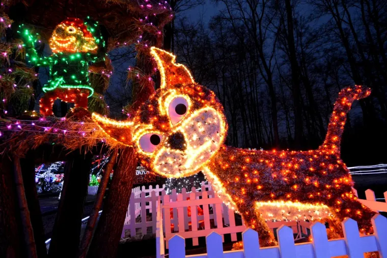 NAJSJAJNIJI ADVENT U HRVATSKOJ: Božićna priča Zlatka Salaja zabljesnula s rekordnih 2,5 milijuna lampica