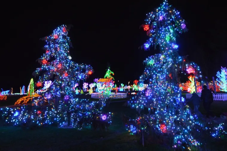 NAJSJAJNIJI ADVENT U HRVATSKOJ: Božićna priča Zlatka Salaja zabljesnula s rekordnih 2,5 milijuna lampica