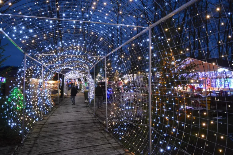 NAJSJAJNIJI ADVENT U HRVATSKOJ: Božićna priča Zlatka Salaja zabljesnula s rekordnih 2,5 milijuna lampica