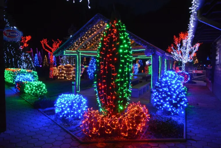 NAJSJAJNIJI ADVENT U HRVATSKOJ: Božićna priča Zlatka Salaja zabljesnula s rekordnih 2,5 milijuna lampica