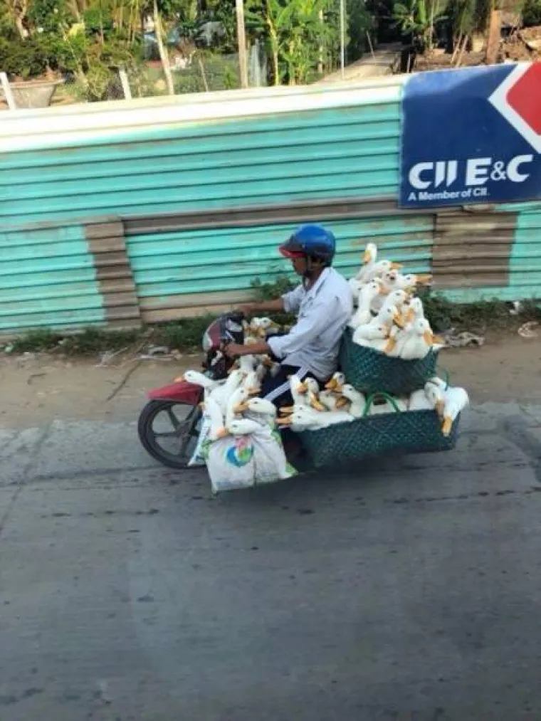 BIZARNI PRIZORI ZA KOJE NE POSTOJI NORMALNO OBJA&Scaron;NJENJE: Oku&scaron;ajte svoje vijuge i poku&scaron;ajte ih protumačiti