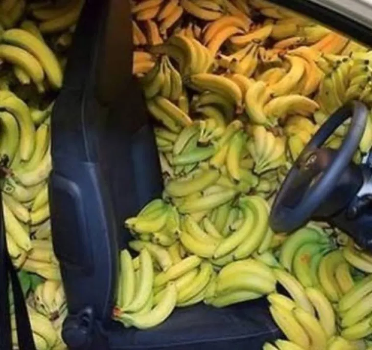 BIZARNI PRIZORI ZA KOJE NE POSTOJI NORMALNO OBJA&Scaron;NJENJE: Oku&scaron;ajte svoje vijuge i poku&scaron;ajte ih protumačiti