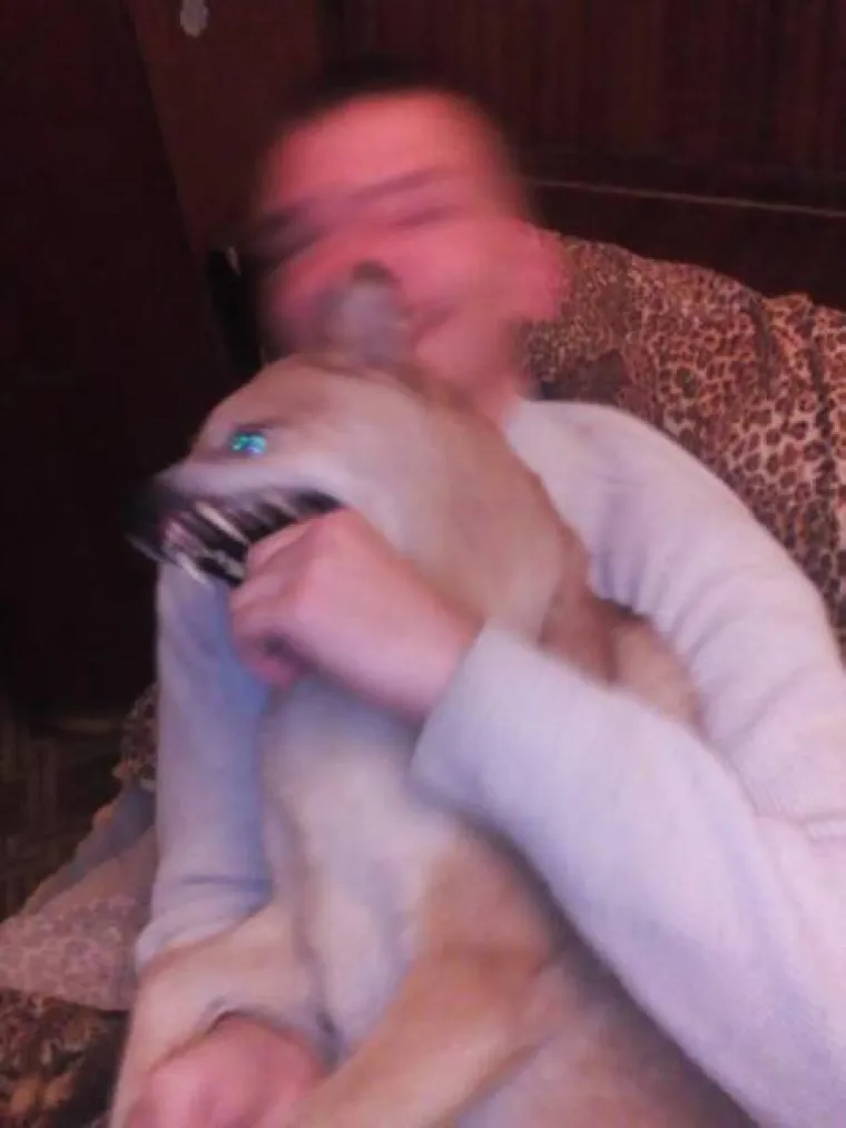 'S*ANJA SE DOGAĐAJU': Život im priredio neugodna iznenađenja i zabio im nož u leđa kad su to najmanje očekivali