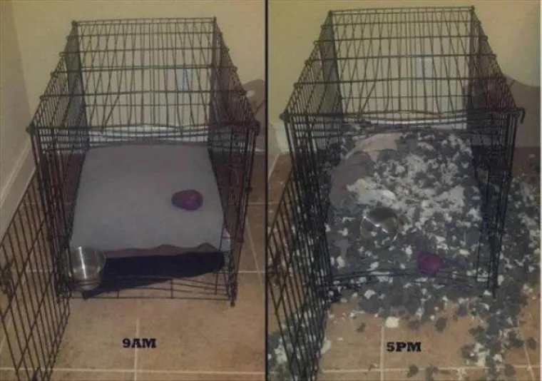 'S*ANJA SE DOGAĐAJU': Život im priredio neugodna iznenađenja i zabio im nož u leđa kad su to najmanje očekivali