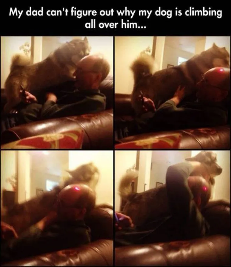 TRUDE SE BITI GADOVI I DOBRO IM IDE: Uživaju kvariti dan ljudima oko sebe, zaslužuju li oprost?