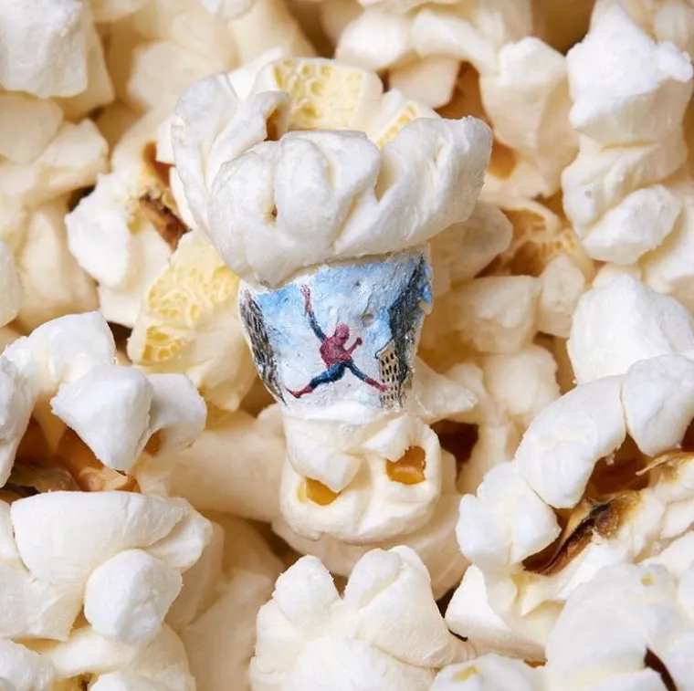 Kralj minijatura slika na kokicama, krilima insekata, vrhovima &scaron;ibica, sjemenkama i o&scaron;tricama žileta