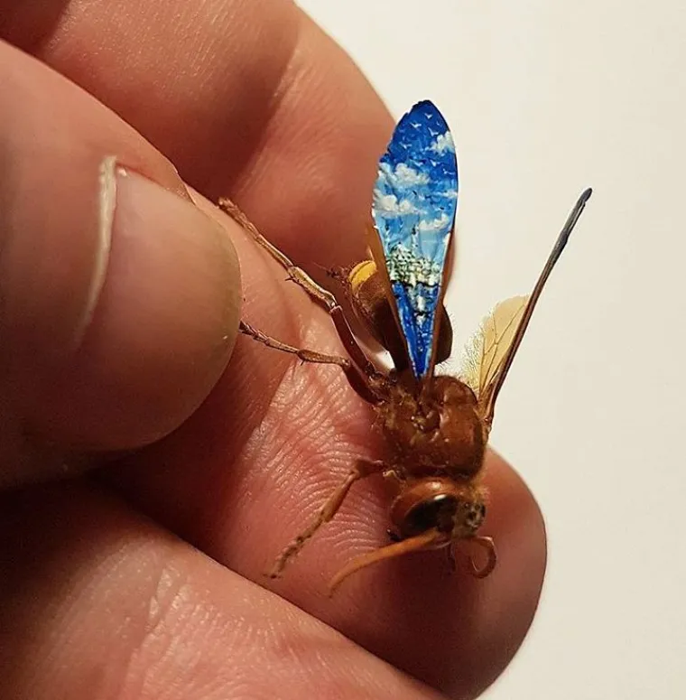 Kralj minijatura slika na kokicama, krilima insekata, vrhovima &scaron;ibica, sjemenkama i o&scaron;tricama žileta