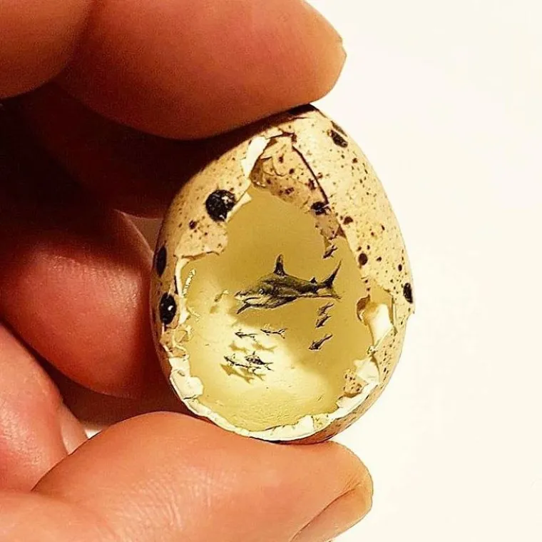 Kralj minijatura slika na kokicama, krilima insekata, vrhovima &scaron;ibica, sjemenkama i o&scaron;tricama žileta