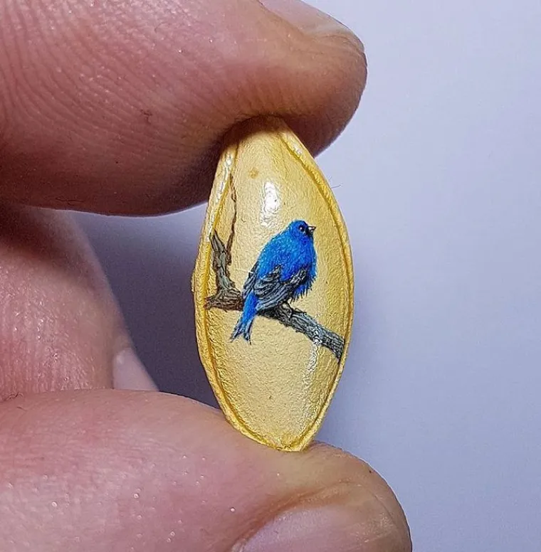 Kralj minijatura slika na kokicama, krilima insekata, vrhovima &scaron;ibica, sjemenkama i o&scaron;tricama žileta