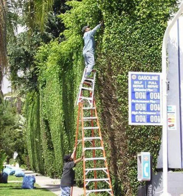 MU&Scaron;KARCI POKAZALI ZA&Scaron;TO ŽIVE KRAĆE OD ŽENA: Nakon ovih prizora bit će vam sve jasno