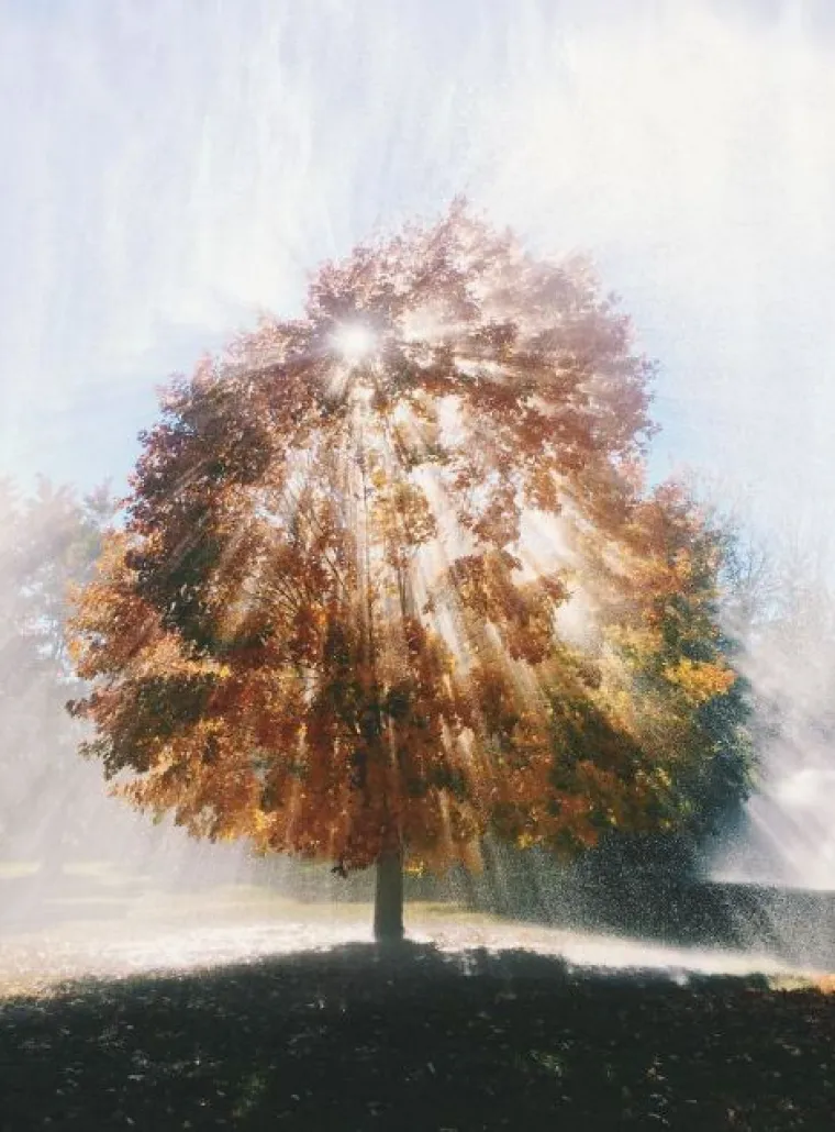 Kad se sve poklopi: fotografije napravljene u savr&scaron;enom trenutku