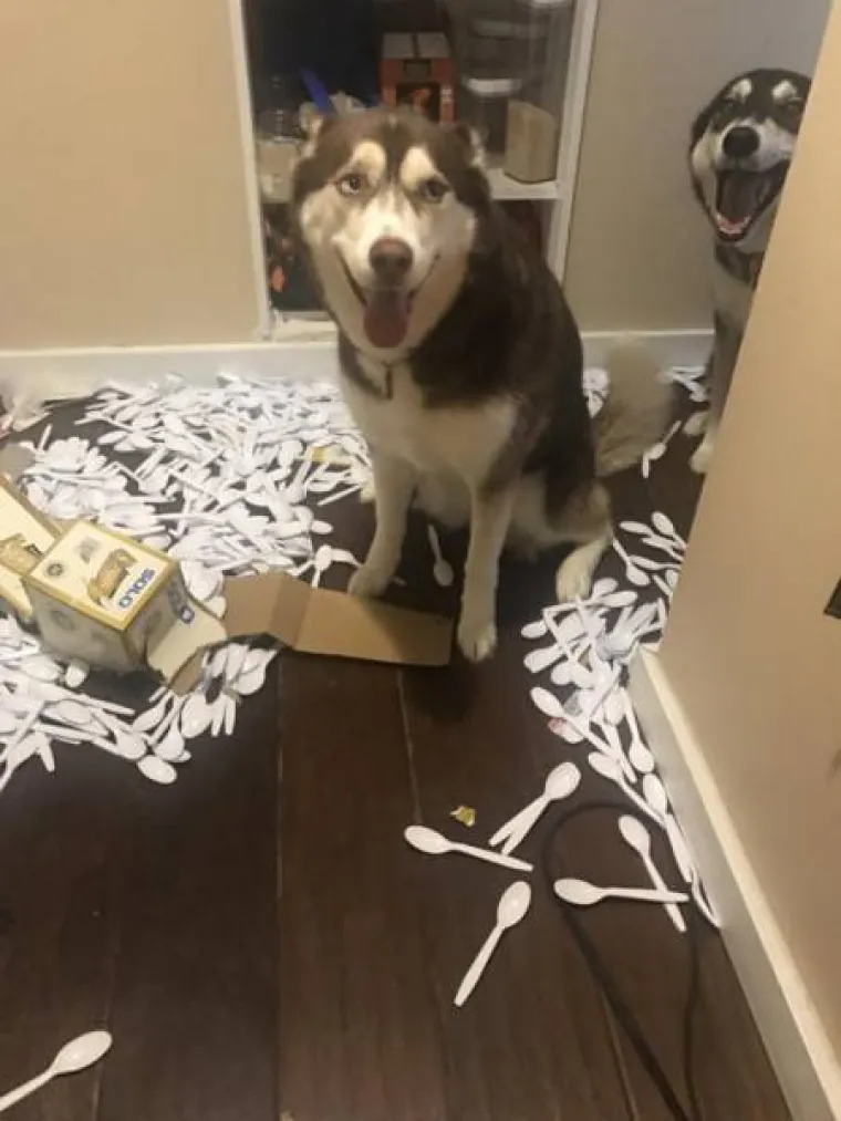 PODIJELILI STVARI KOJE IH UVIJEK NAŽIVCIRAJU: Male stvari koje mogu uzrokovati velike frustracije