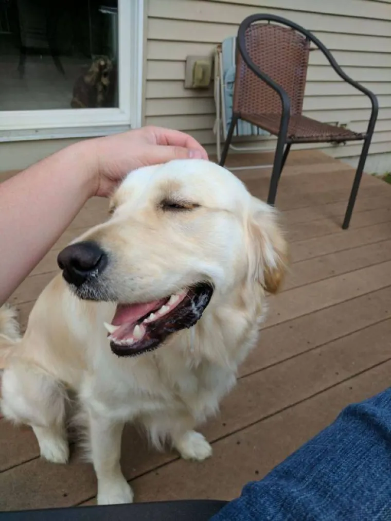 POKAZALI KAKO IZGLEDA PRAVO LICE LJUBOMORE: Već na prvi pogled je očito &scaron;to osjećaju