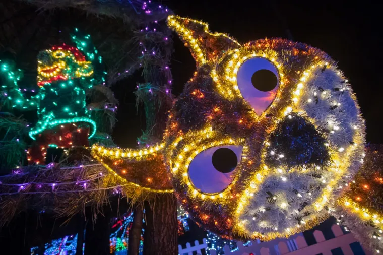 Najrasko&scaron;nija dosad: pogledajte kako izgleda Božićna priča obitelji Salaj