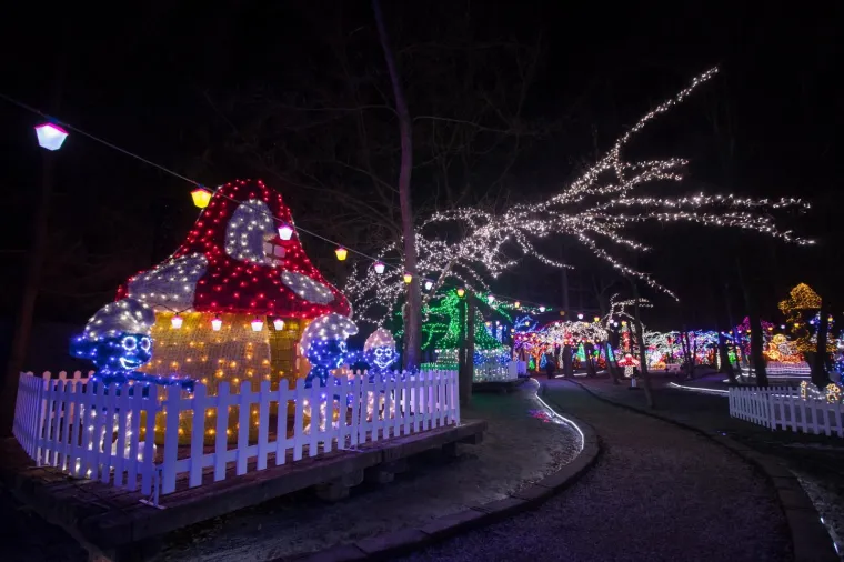 Najrasko&scaron;nija dosad: pogledajte kako izgleda Božićna priča obitelji Salaj