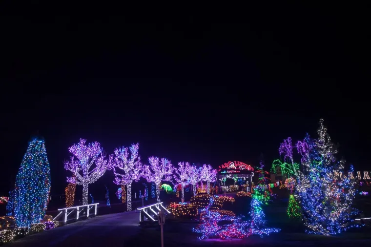 Najrasko&scaron;nija dosad: pogledajte kako izgleda Božićna priča obitelji Salaj