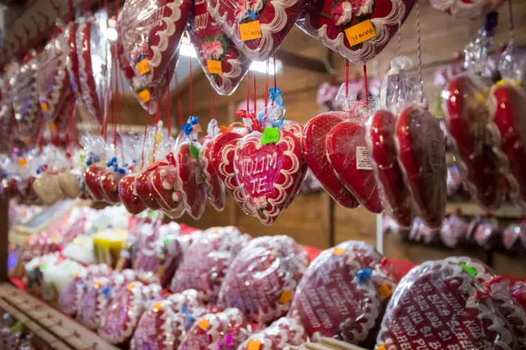 Najrasko&scaron;nija dosad: pogledajte kako izgleda Božićna priča obitelji Salaj