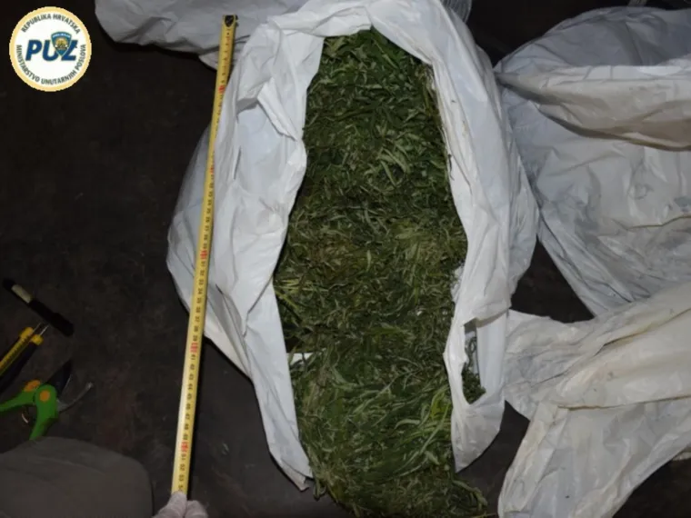 POLICIJA OTKRILA LABORATORIJ ZA UZGOJ TRAVE: U Svetom Ivanu Zelini uhićeni Hrvat i Srbin