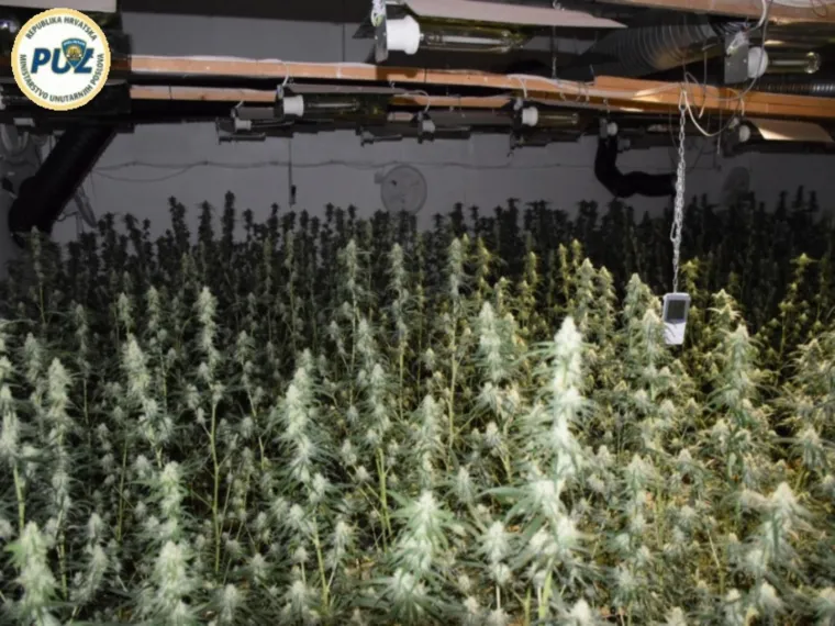 POLICIJA OTKRILA LABORATORIJ ZA UZGOJ TRAVE: U Svetom Ivanu Zelini uhićeni Hrvat i Srbin