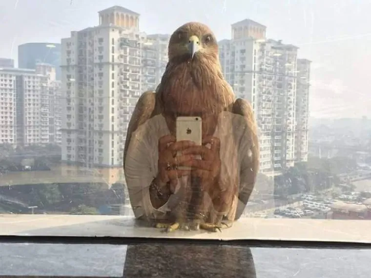 DOBAR TAJMING ČINI ČUDA: Fotografije nastale tako što su se baš sve stvari idealno posložile