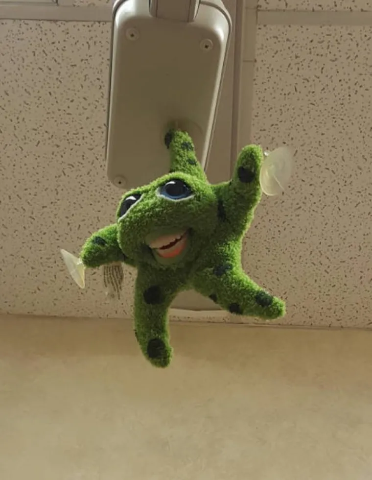 PRIZORI OD KOJIH I NAJHRABRIJI BJEŽE GLAVOM BEZ OBZIRA: Njih ne želite zateći u mračnoj ulici