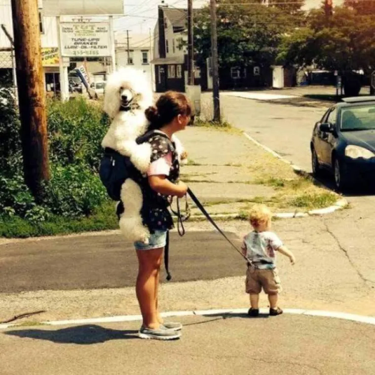 U NJIHOVOM ŽIVOTU JE SVE NAOPAKO: Zabilježili prizore koji prkose ba&scaron; svim tradicijama