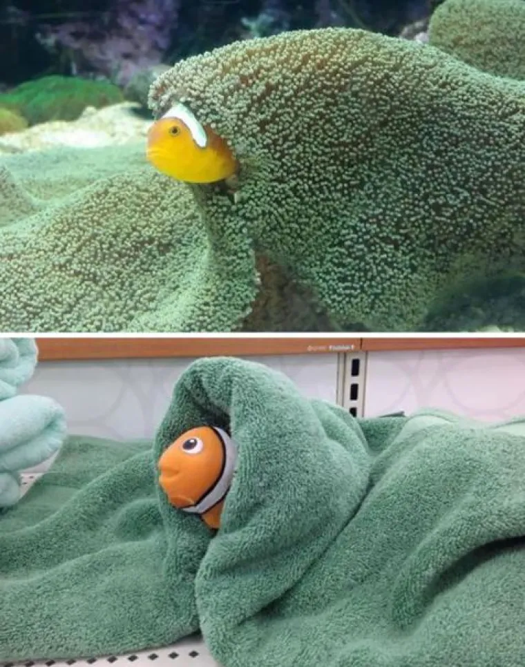 Njihove veze nikada nisu dosadne: urnebesne podvale bračnih partnera