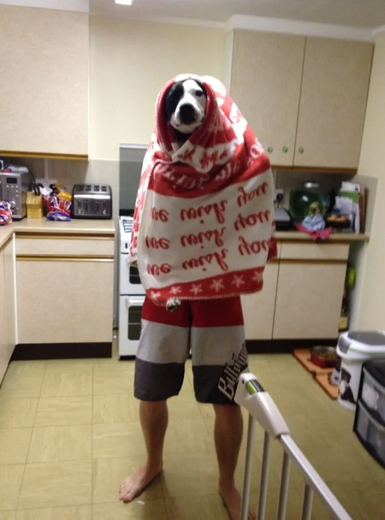 Njihove veze nikada nisu dosadne: urnebesne podvale bračnih partnera