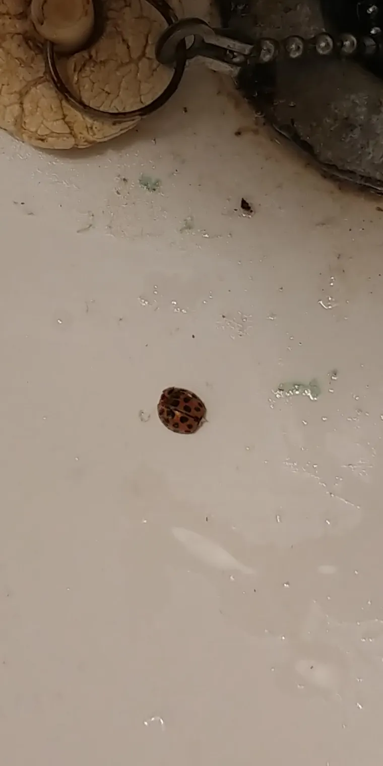 OTAC POTPUNO ZAPUSTIO DOM NAKON RAZVODA: Sin nije mogao vjerovati &scaron;to ga je dočekalo kad je do&scaron;ao u posjet