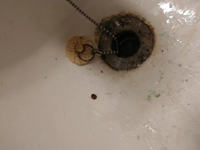 OTAC POTPUNO ZAPUSTIO DOM NAKON RAZVODA: Sin nije mogao vjerovati &scaron;to ga je dočekalo kad je do&scaron;ao u posjet