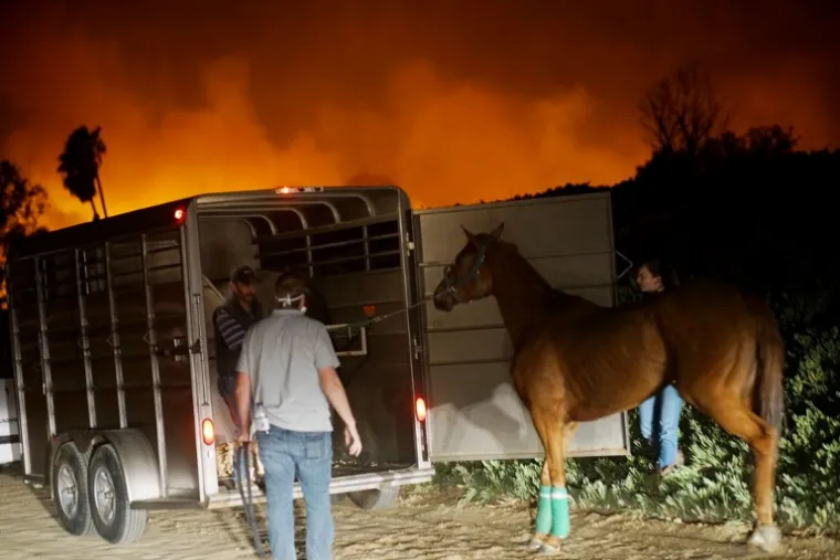 STRAVIČNI POŽARI U SAD-u: Kalifornija, San Diego i Santa Barbara u plamenu